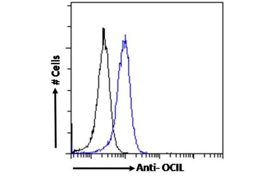 Flow Cytometry - Anti-CLEC2D Antibody (A286012) - Antibodies.com