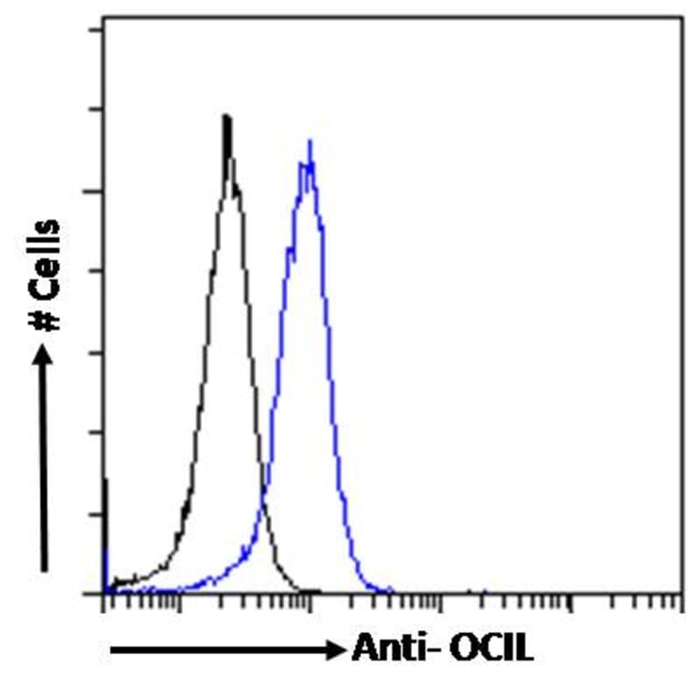 Flow Cytometry - Anti-CLEC2D Antibody (A286012) - Antibodies.com