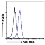 Flow Cytometry - Anti-CLEC2D Antibody (A286012) - Antibodies.com