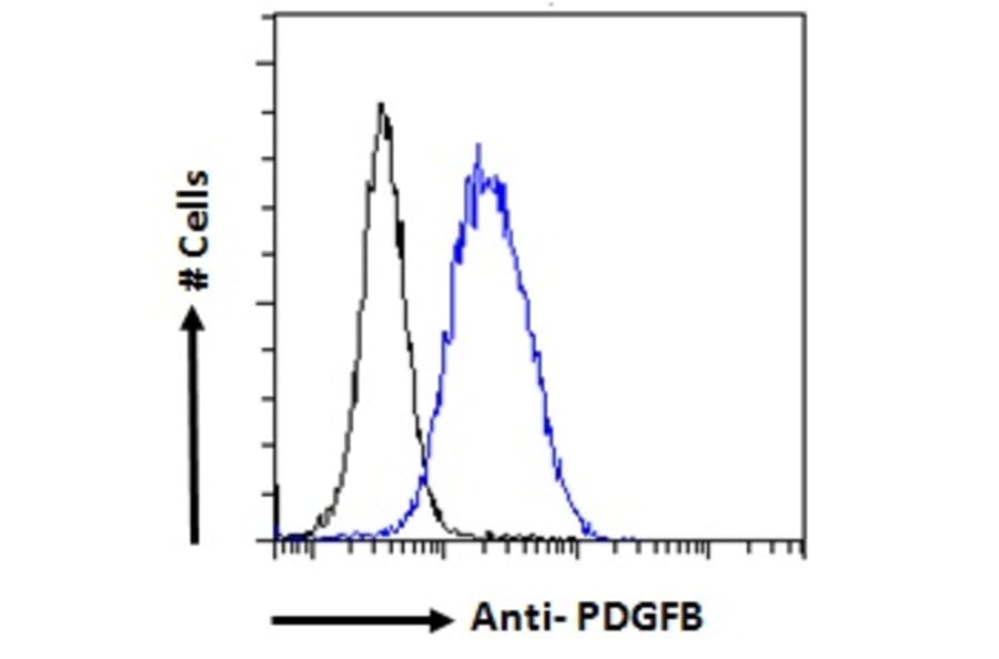 Flow Cytometry - Anti-PDGF B Antibody (A286019) - Antibodies.com
