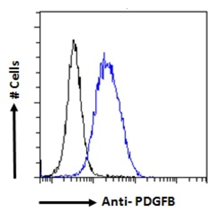 Flow Cytometry - Anti-PDGF B Antibody (A286019) - Antibodies.com