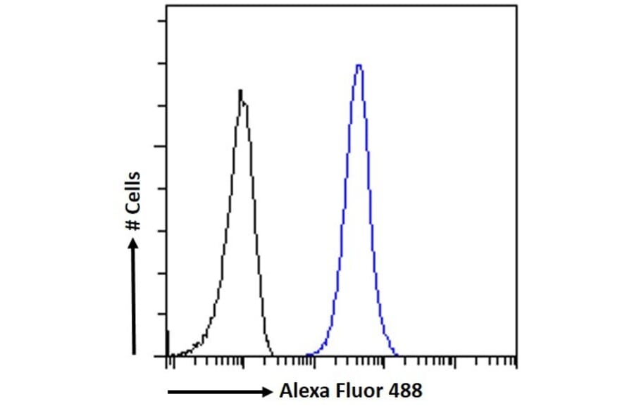 Flow Cytometry - Anti-TRIF Antibody (A286020) - Antibodies.com