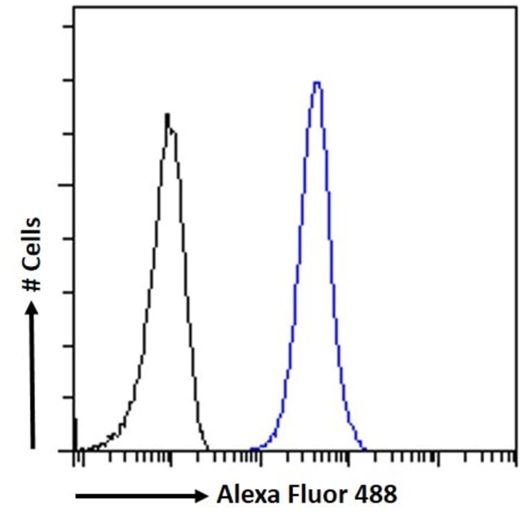Flow Cytometry - Anti-TRIF Antibody (A286020) - Antibodies.com