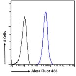 Flow Cytometry - Anti-TRIF Antibody (A286020) - Antibodies.com
