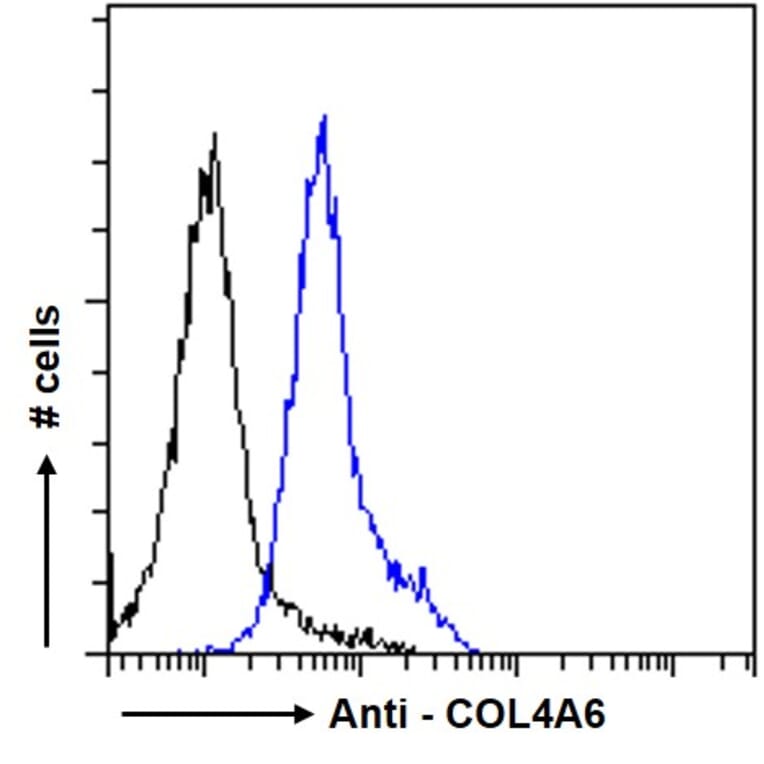 Flow Cytometry - Anti-Collagen IV alpha 6 Antibody (A286021) - Antibodies.com