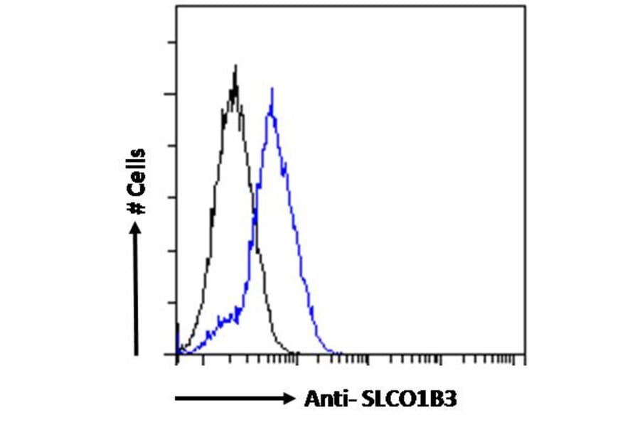 Flow Cytometry - Anti-SLCO1B3/OATP1B3 Antibody (A286028) - Antibodies.com