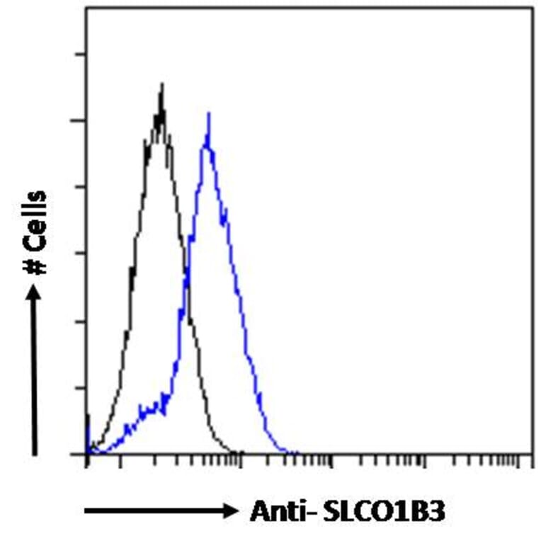 Flow Cytometry - Anti-SLCO1B3/OATP1B3 Antibody (A286028) - Antibodies.com