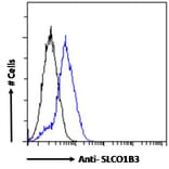 Flow Cytometry - Anti-SLCO1B3/OATP1B3 Antibody (A286028) - Antibodies.com