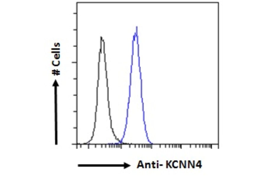 Flow Cytometry - Anti-KCNN4 Antibody (A286034) - Antibodies.com