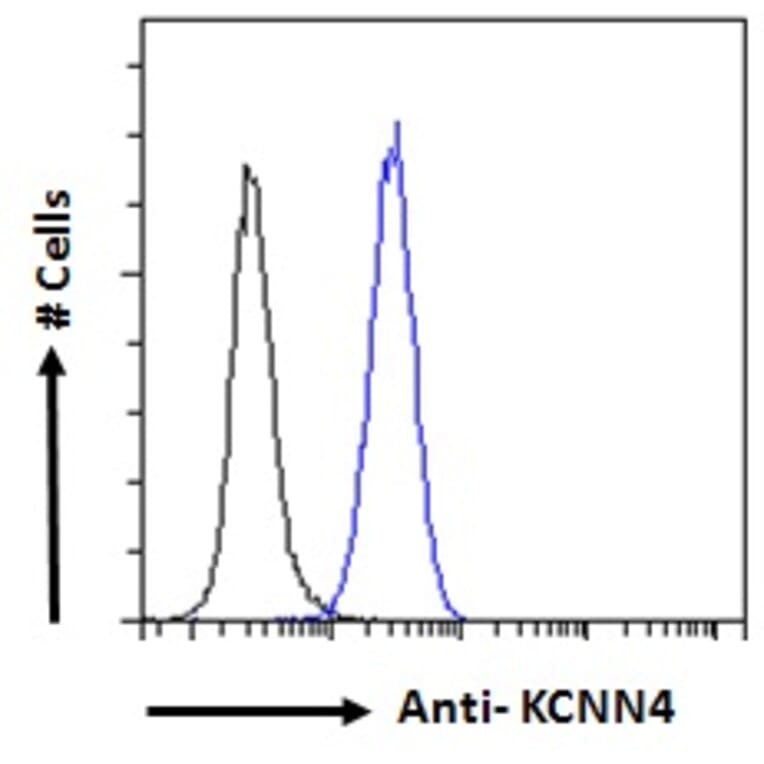 Flow Cytometry - Anti-KCNN4 Antibody (A286034) - Antibodies.com