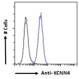 Flow Cytometry - Anti-KCNN4 Antibody (A286034) - Antibodies.com