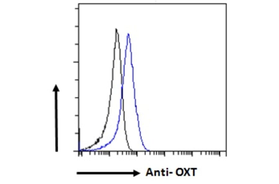 Flow Cytometry - Anti-Oxytocin-neurophysin 1 Antibody (A286036) - Antibodies.com