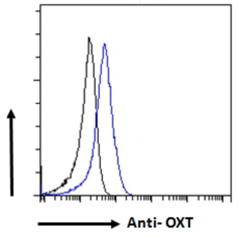 Flow Cytometry - Anti-Oxytocin-neurophysin 1 Antibody (A286036) - Antibodies.com