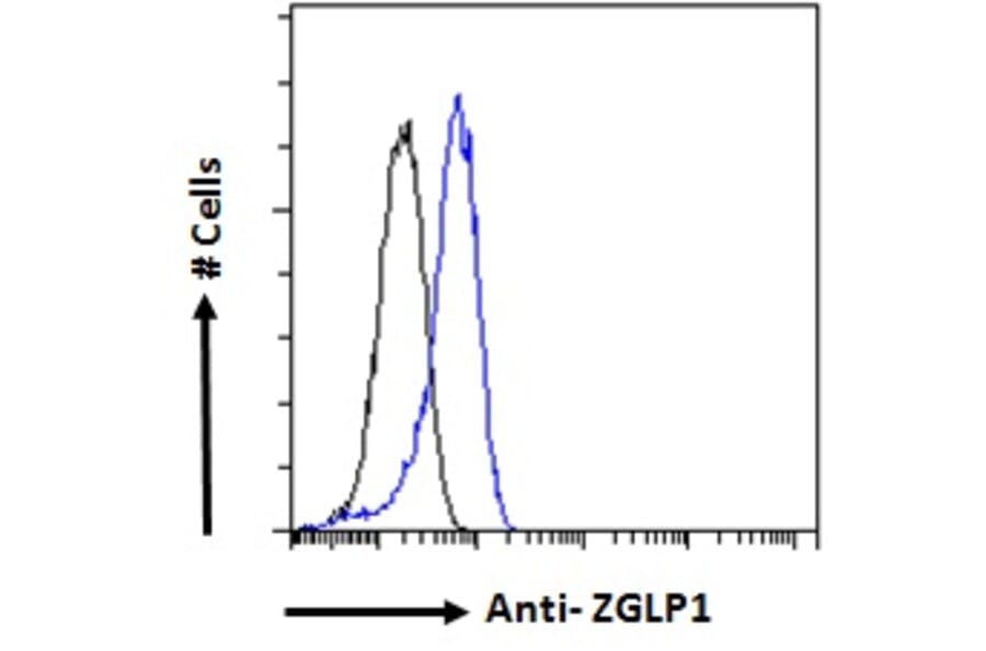 Flow Cytometry - Anti-ZGLP1 Antibody (A286038) - Antibodies.com