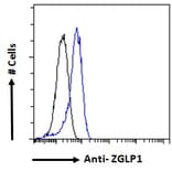 Flow Cytometry - Anti-ZGLP1 Antibody (A286038) - Antibodies.com