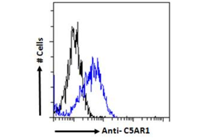 Flow Cytometry - Anti-C5a-R Antibody (A286040) - Antibodies.com