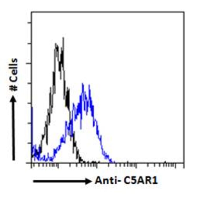 Flow Cytometry - Anti-C5a-R Antibody (A286040) - Antibodies.com