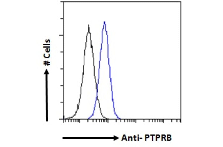 Flow Cytometry - Anti-VE-PTP Antibody (A286043) - Antibodies.com