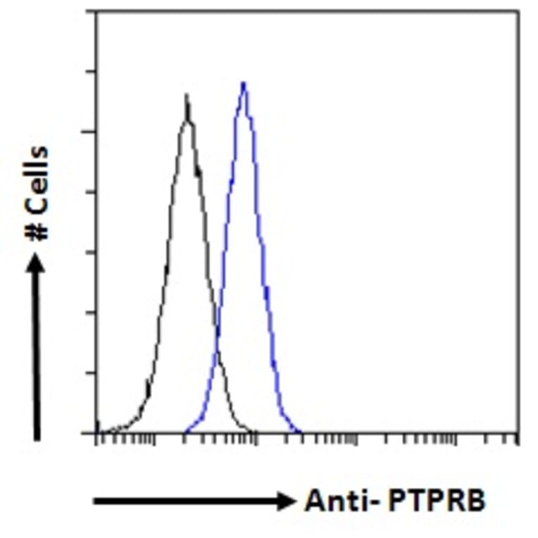 Flow Cytometry - Anti-VE-PTP Antibody (A286043) - Antibodies.com