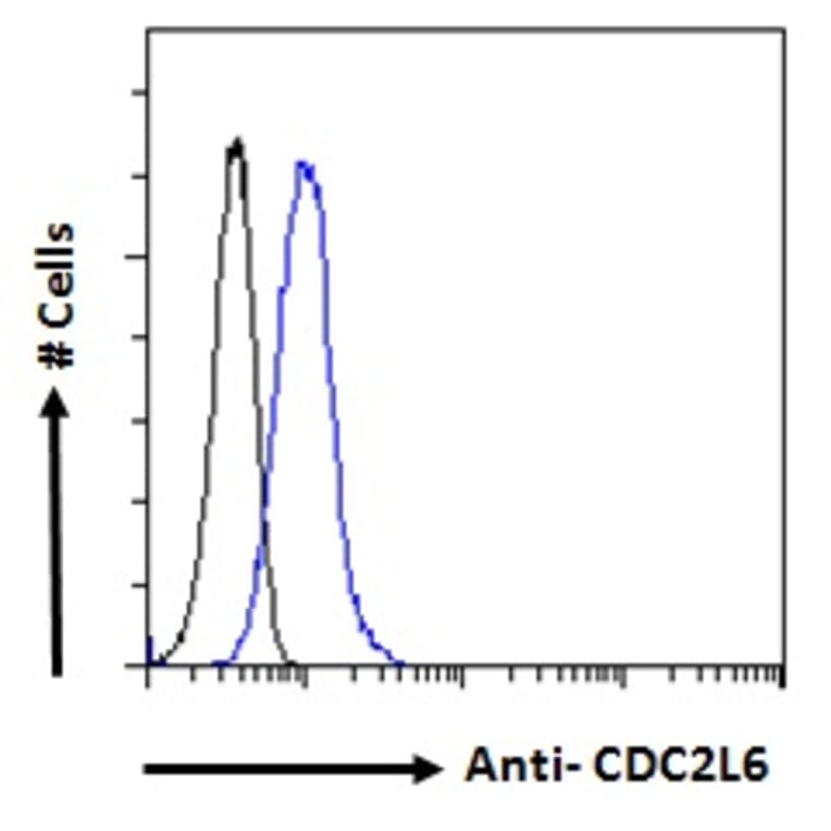 Flow Cytometry - Anti-CDC2L6 Antibody (A286050) - Antibodies.com