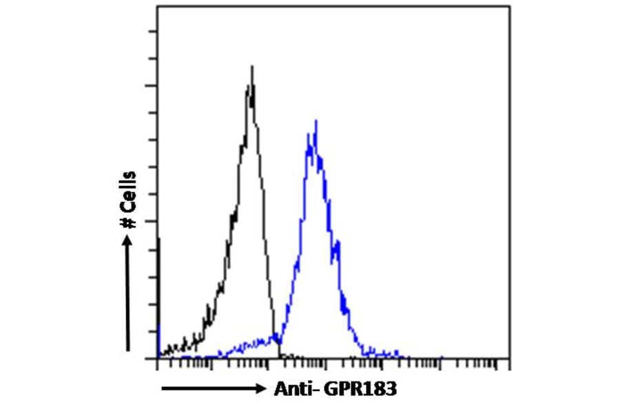 Flow Cytometry - Anti-EBV Induced Gene 2/EBI2 Antibody (A286051) - Antibodies.com