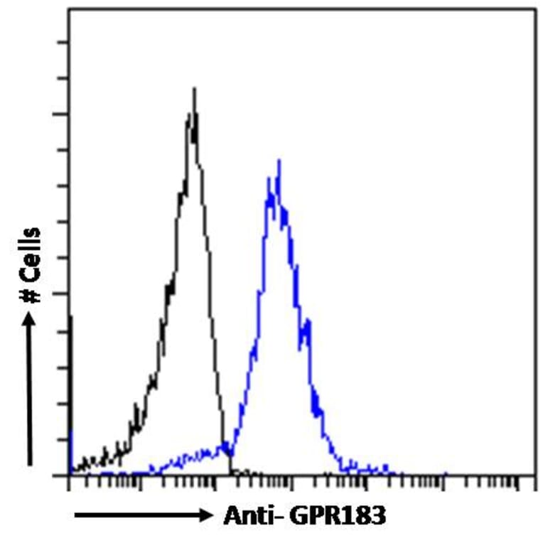 Flow Cytometry - Anti-EBV Induced Gene 2/EBI2 Antibody (A286051) - Antibodies.com