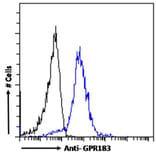 Flow Cytometry - Anti-EBV Induced Gene 2/EBI2 Antibody (A286051) - Antibodies.com