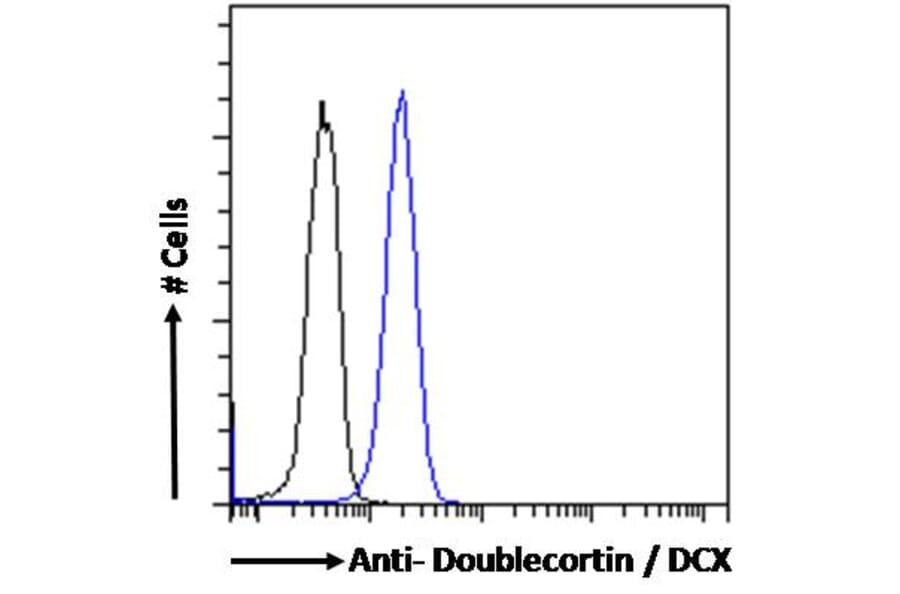 Flow Cytometry - Anti-Doublecortin Antibody (A286054) - Antibodies.com