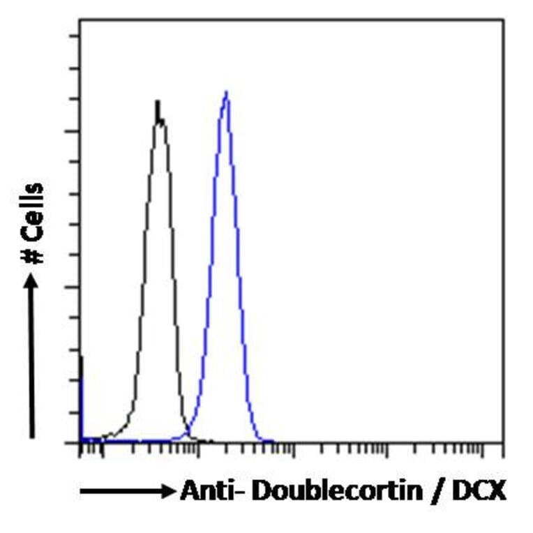 Flow Cytometry - Anti-Doublecortin Antibody (A286054) - Antibodies.com