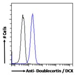 Flow Cytometry - Anti-Doublecortin Antibody (A286054) - Antibodies.com
