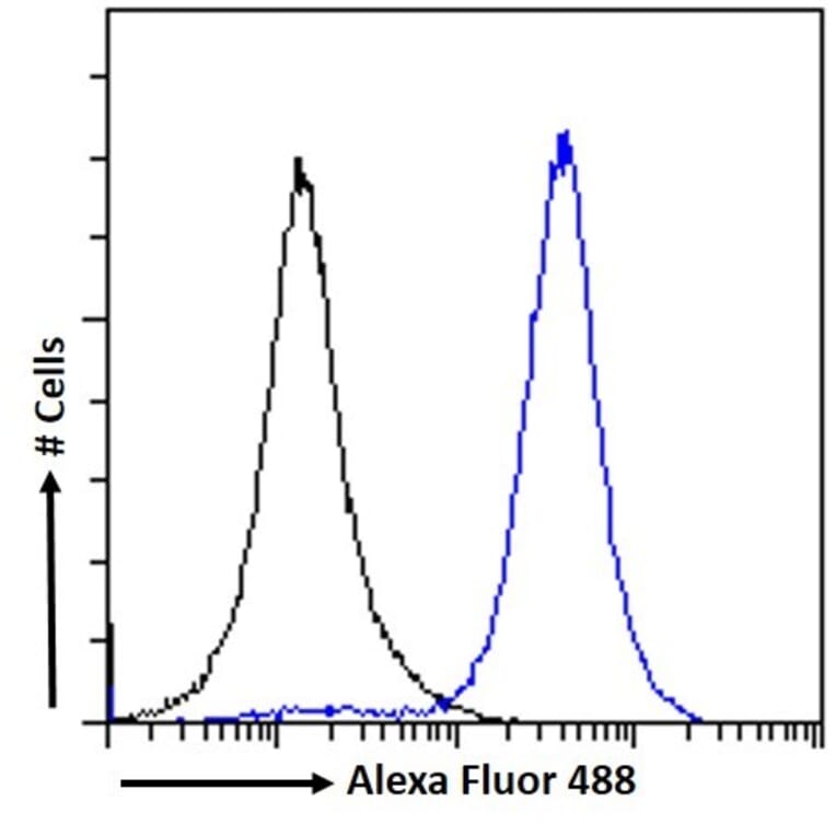 Flow Cytometry - Anti-IRF4 Antibody (A286064) - Antibodies.com