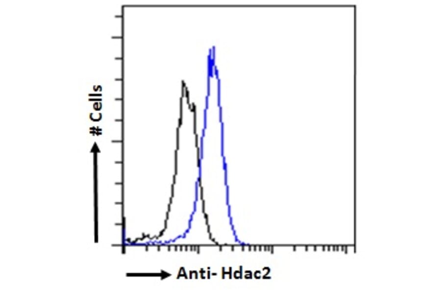 Flow Cytometry - Anti-HDAC2 Antibody (A286069) - Antibodies.com