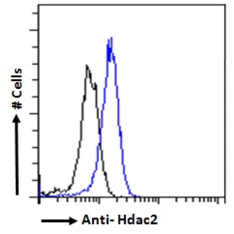 Flow Cytometry - Anti-HDAC2 Antibody (A286069) - Antibodies.com