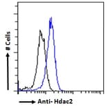 Flow Cytometry - Anti-HDAC2 Antibody (A286069) - Antibodies.com