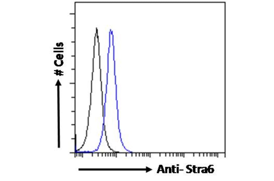 Flow Cytometry - Anti-STRA6 Antibody (A286072) - Antibodies.com