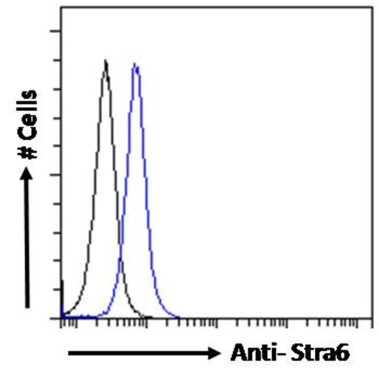 Flow Cytometry - Anti-STRA6 Antibody (A286072) - Antibodies.com