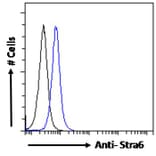 Flow Cytometry - Anti-STRA6 Antibody (A286072) - Antibodies.com