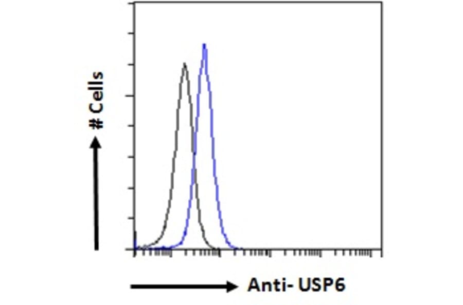 Flow Cytometry - Anti-USP6 Antibody (A286073) - Antibodies.com