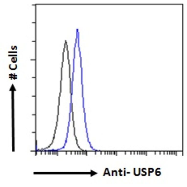 Flow Cytometry - Anti-USP6 Antibody (A286073) - Antibodies.com