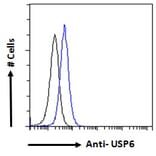 Flow Cytometry - Anti-USP6 Antibody (A286073) - Antibodies.com