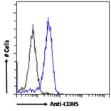 Flow Cytometry - Anti-VE Cadherin Antibody (A286091) - Antibodies.com