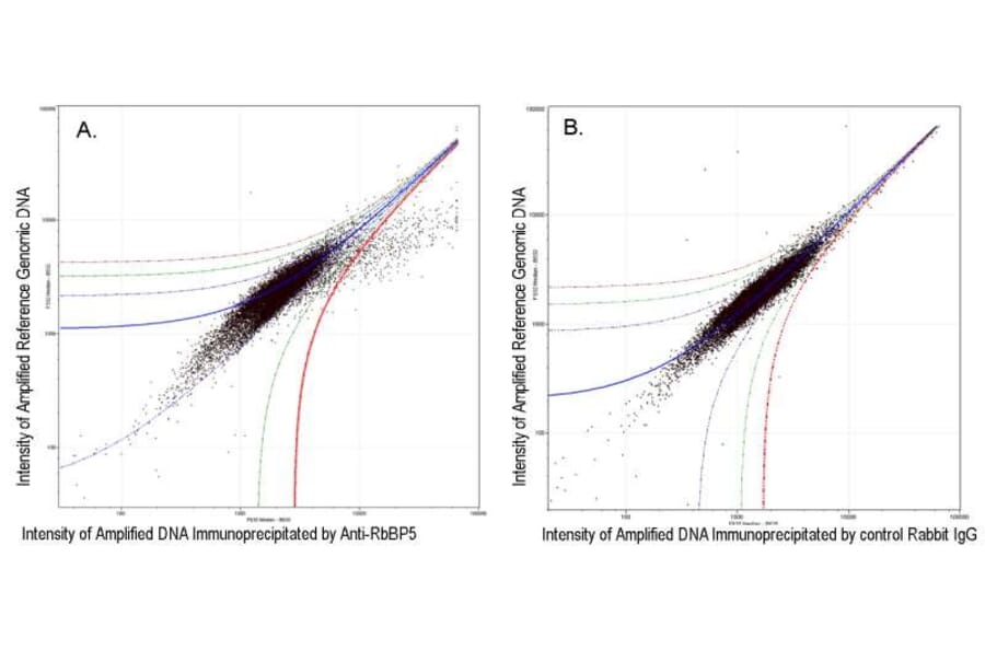 ChIP - Anti-RbBP5 Antibody (A295267) - Antibodies.com