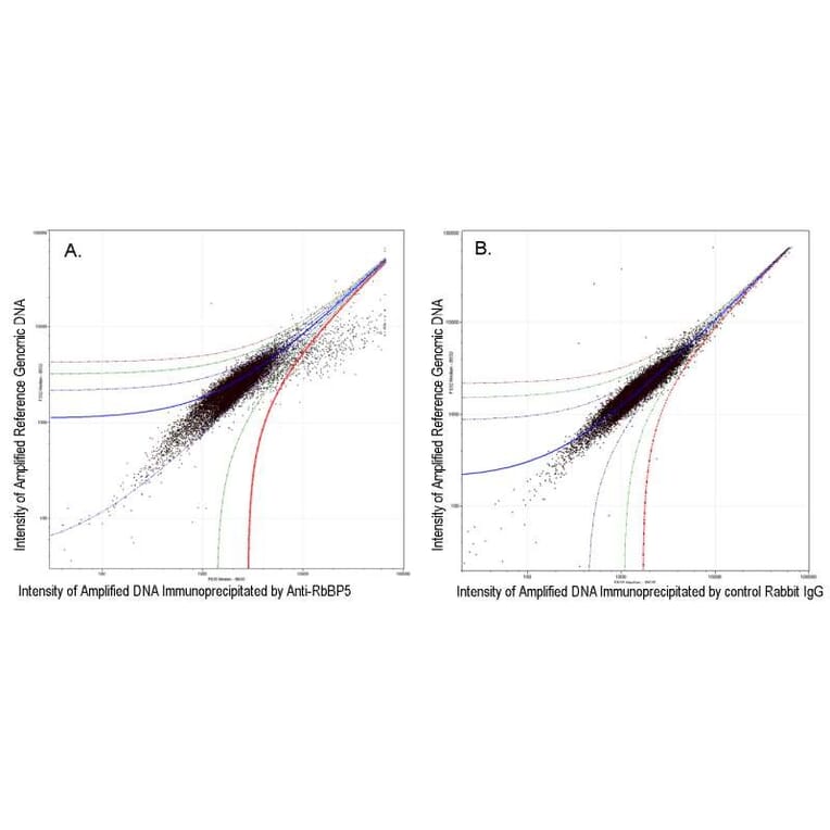 ChIP - Anti-RbBP5 Antibody (A295267) - Antibodies.com