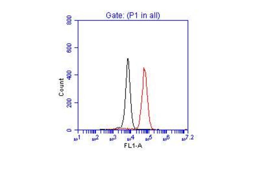 Flow Cytometry- Anti-p53 Antibody (A295374) - Antibodies.com