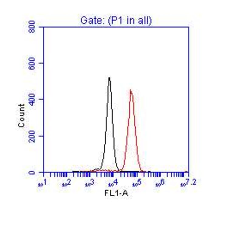 Flow Cytometry- Anti-p53 Antibody (A295374) - Antibodies.com