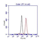 Flow Cytometry- Anti-p53 Antibody (A295374) - Antibodies.com