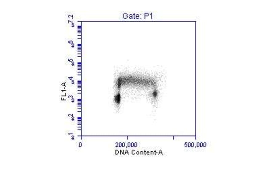 Flow Cytometry - Anti-PCNA Antibody (A295398) - Antibodies.com