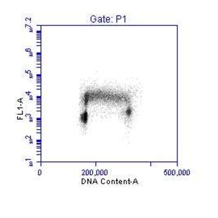 Flow Cytometry - Anti-PCNA Antibody (A295398) - Antibodies.com