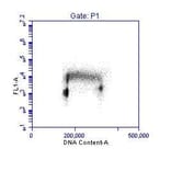 Flow Cytometry - Anti-PCNA Antibody (A295398) - Antibodies.com