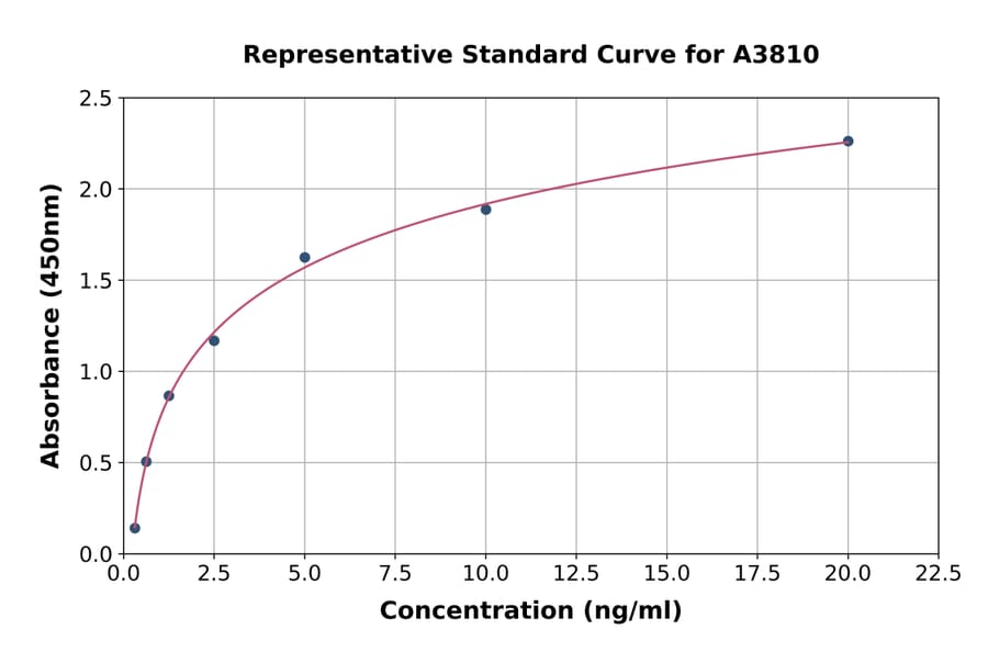 Standard Curve - Rat Mucin 5AC ELISA Kit (A3810) - Antibodies.com